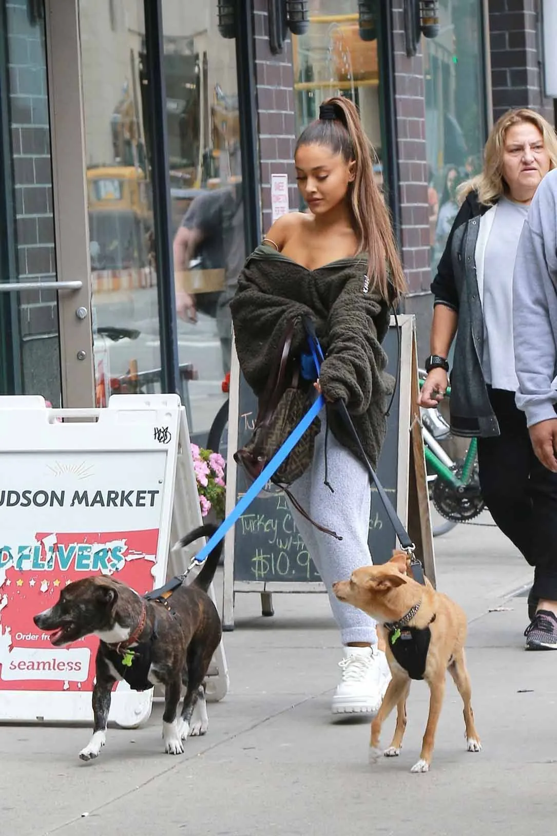 Ariana's dog